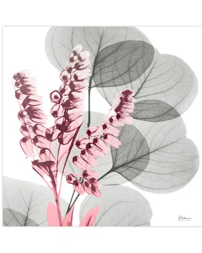 Empire Art Direct Eucalyptus Bush 2 By Albert Koetsier Wall Art