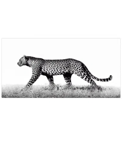 Empire Art Direct Fearless 2 Wall Art