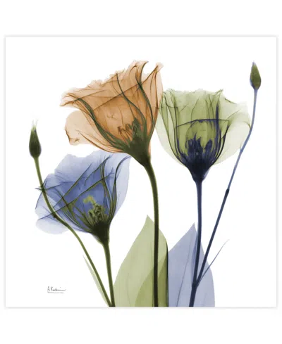 Empire Art Direct "gentian Buddies" Frameless Free Floating Tempered Glass Panel Graphic Wall Art, 24" X 24" X 0.2" In Multi-color