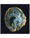 Empire Art Direct Geode Splendor I Embellished Canvas Wall Art In Black