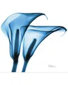 Empire Art Direct Indigo Calla Lililes By Albert Koetsier Wall Art
