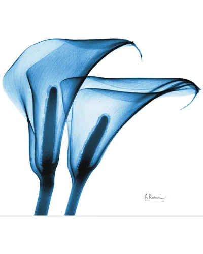 Empire Art Direct Indigo Calla Lililes By Albert Koetsier Wall Art
