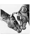 Empire Art Direct Kindred Colts Frameless Free Floating Tempered Glass Panel Graphic Wall Art