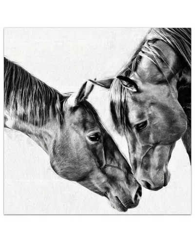 Empire Art Direct Kindred Colts Frameless Free Floating Tempered Glass Panel Graphic Wall Art