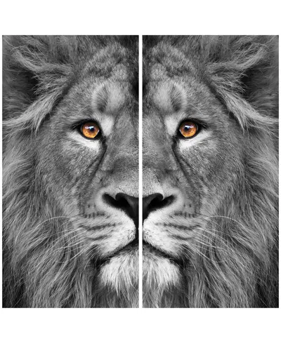 Empire Art Direct King Of The Jungle Ab Frameless Free Floating Tempered Glass Panel Graphic Wall Art, 72" X 36" X 0.2 In Gray