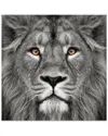 Empire Art Direct King Of The Jungle Lion Frameless Free Floating Tempered Glass Panel Graphic Wall  In Multi