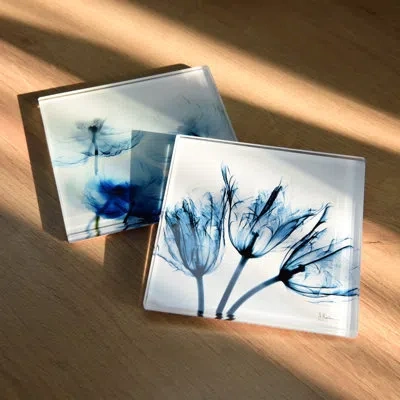 Empire Art Direct Lovely Flowers Tempered Glass Coasters With Cork Bottom - Set Of 12 Florals In Muticolored