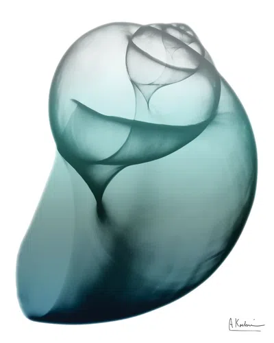 Empire Art Direct Shimmering Snail I By Albert Koetsier Wall Art