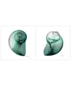 Empire Art Direct Shimmering Snail I Ii Frameless Free Floating Tempered Glass Panel Graphic Wall Art, 24" X 24" X 0.2 In Green