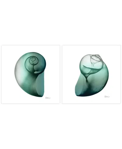 Empire Art Direct Shimmering Snail I Ii Frameless Free Floating Tempered Glass Panel Graphic Wall Art, 24" X 24" X 0.2 In Green