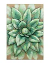 Empire Art Direct Succulent 2 Metal Artwork
