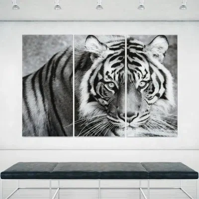 Empire Art Direct Tiger Abc - 3 Piece Unframed Painting Set On Glass In Black;white;gray