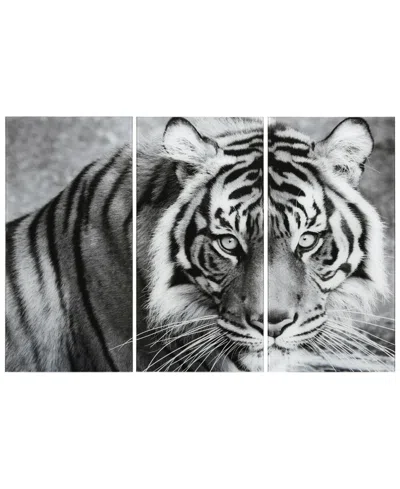 Empire Art Direct "tiger Abc" Frameless Free Floating Tempered Glass Panel Graphic Wall Art Set Of 3, 72" X 36" X 0.2" In Gray
