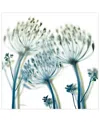 Empire Art Direct "unfocused Beauty 2" Frameless Free Floating Tempered Glass Panel Graphic Wall Art, 24" X 24" X 0.2" In Blue,green