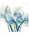 Empire Art Direct Unfocused Beauty 3 By Albert Koetsier Wall Art