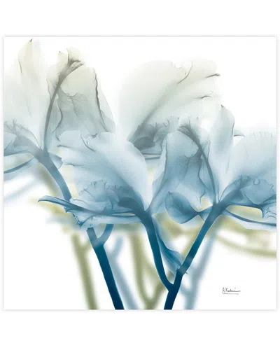 Empire Art Direct Unfocused Beauty 3 By Albert Koetsier Wall Art