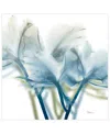 Empire Art Direct "unfocused Beauty 3" Frameless Free Floating Tempered Glass Panel Graphic Wall Art, 24" X 24" X 0.2" In Blue,green
