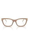 Emporio Armani 52mm Cat Eye Optical Glasses In Brown