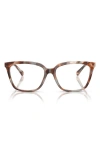 Emporio Armani 53mm Cat Eye Optical Glasses In Brown