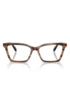 Emporio Armani 54mm Butterfly Optical Glasses In Brown