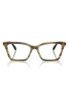 Emporio Armani 54mm Butterfly Optical Glasses In Brown