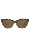 Emporio Armani 54mm Cat Eye Sunglasses In Brown