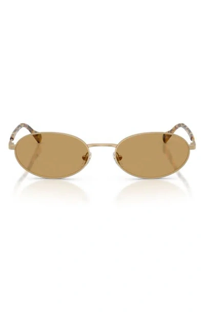 Emporio Armani 54mm Oval Sunglasses In Brown
