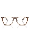 Emporio Armani 55mm Pillow Optical Glasses In Brown
