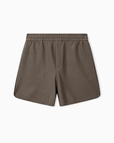 Emporio Armani All-over Micro Eagle Jacquard Jersey Shorts In Brown