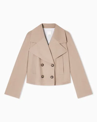 Emporio Armani Blouson In Stretch Cotton Poplin In Pink