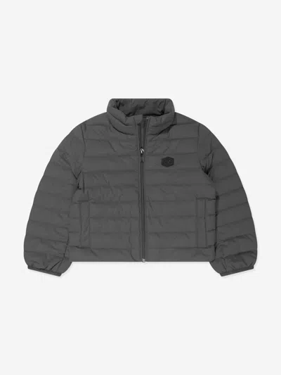 Emporio Armani Kids' Boys Down Padded Jacket In Grey