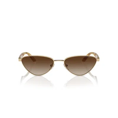 Emporio Armani Full Frame Sunglasses In Brown