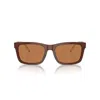 Emporio Armani Full Frame Sunglasses In Brown