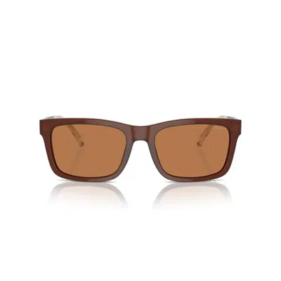 Emporio Armani Full Frame Sunglasses In Brown