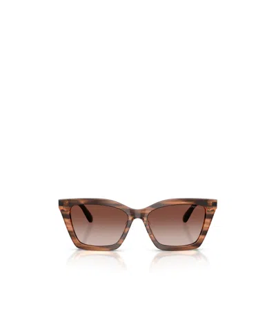 Emporio Armani Full Frame Sunglasses In Brown