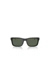 Emporio Armani Sunglasses Blacks And Greys In Green