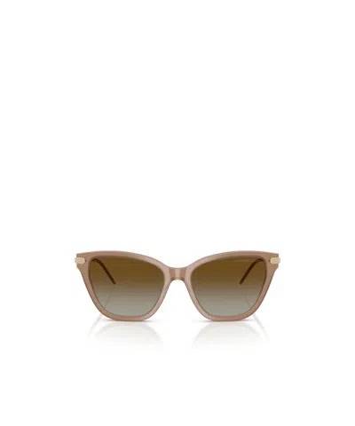 Emporio Armani Full Frame Sunglasses In Brown