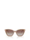 Emporio Armani 54mm Gradient Cat Eye Sunglasses