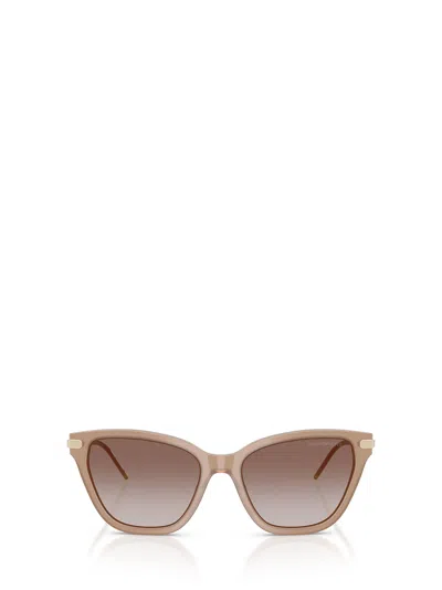 Emporio Armani Full Frame Sunglasses In Brown