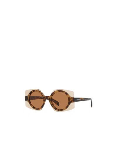 Emporio Armani Full Frame Sunglasses In Brown