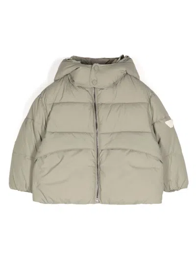 Emporio Armani Babies' Logo-patch Padded Jacket In Grey