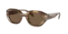 Emporio Armani Man Sunglasses Ea4230u In Dark Brown