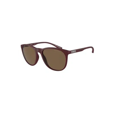 Emporio Armani Ea4210 526173 In Brown