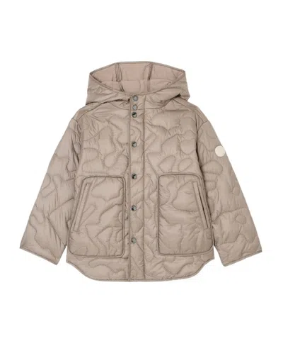 Emporio Armani Nylon Hooded Jacket With 3d Quilted-effect Embroidery In Gray