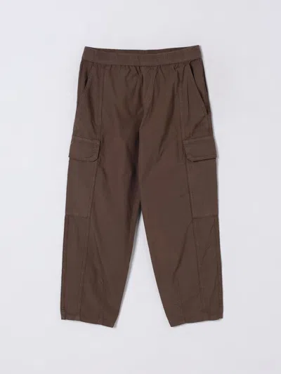 Emporio Armani Pants  Kids Color Hazel In Brown