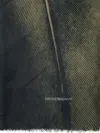 Emporio Armani Printed Scarf In Green