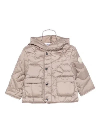 Emporio Armani Babies' Quilted Hooded Jacket In Brown