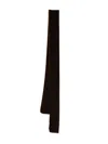 Emporio Armani Luxurious Long Velvet Scarf In Brown