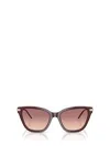 Emporio Armani 54mm Gradient Cat Eye Sunglasses In Brown