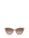 Emporio Armani 54mm Gradient Cat Eye Sunglasses In Brown